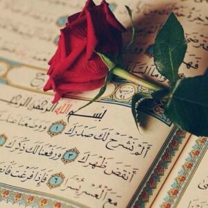 صدقة جارية 3