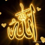 mohamedsaad 1