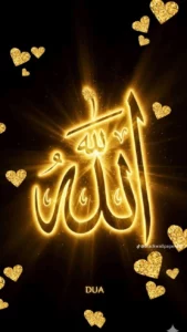 mohamedsaad 1
