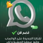 استثمار 5