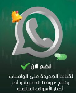 استثمار 5