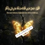 ظل الجنه
