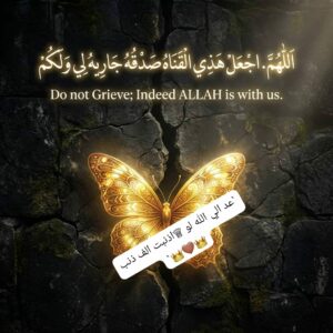ظل الجنه