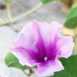 تعارف وحب 2