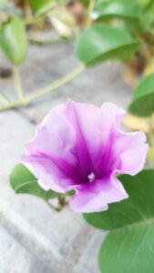 تعارف وحب 2