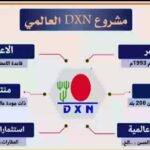 اليمن 147