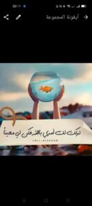 الاستثمار الامثل 1