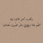 السعوديه 7