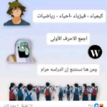 شارع الوحده امبابه 1
