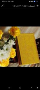 شار ع الشيخ ريان 1