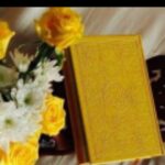 شار ع الشيخ ريان 1