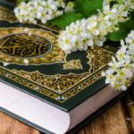 في رحاب القرآن 16