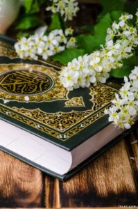في رحاب القرآن 16