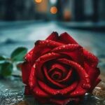 لاتحزن ان الله معنا 1