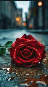 لاتحزن ان الله معنا 1
