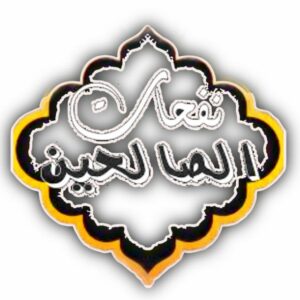 مدينة تعز 2