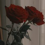 قران كريم 11