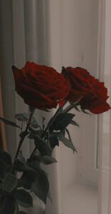 قران كريم 11