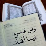 القاهرة 11