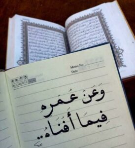 القاهرة 11