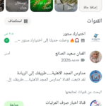 الفنان سعيد الصانع 1
