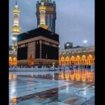 جمهورية مصر العربية 1