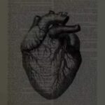 تعارف اصدقاء 2