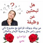 رائد الأعمال الحرة 2