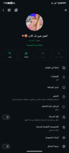 عين شمس 2