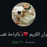 محمد احمد 1
