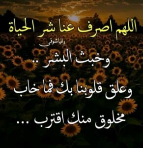 الـسـنـة الـنـبويـة 1