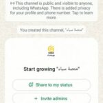 منصة سباء