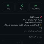 بتينينين نينينبن 1