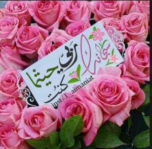 مجموعه دينيه متنوعه من احاديث وقران والي اخره 1