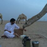 مداهيل