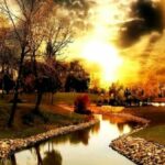 محافظه كفر الشيخ