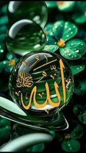 بحث عن المهدي