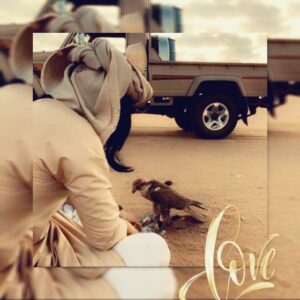 قناه عذب القصيد