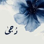 دُجَىٰ .