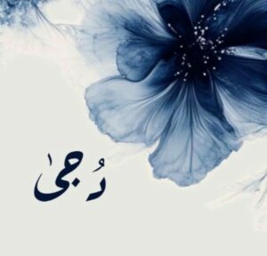دُجَىٰ .
