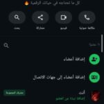 متجر شانكس في سويا
