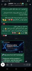 استثمر عقلك crypto