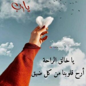 وجدت ضالتي