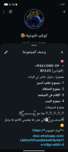 مصر القاهرة