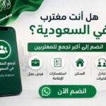 المغتربين بالسعودية