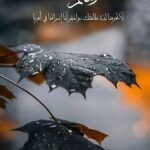 اجمل التلاوات والمحاضرات الصوتية