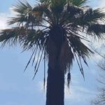 قروب دردشة ودراسة