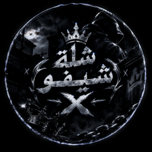 الغربيه كفر الزيات