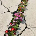 دعم جميع وسائل التواصل الاجتماعي