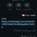 مصر ررى